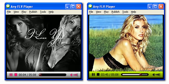 put flv files on website free - screen shot of Any FLV Player - Free FLV Player